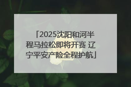 2025沈阳和河半程马拉松即将开赛 辽宁平安产险全程护航