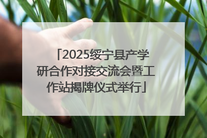 2025绥宁县产学研合作对接交流会暨工作站揭牌仪式举行