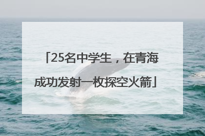 25名中学生，在青海成功发射一枚探空火箭