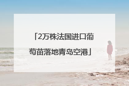 2万株法国进口葡萄苗落地青岛空港