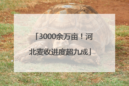 3000余万亩！河北麦收进度超九成