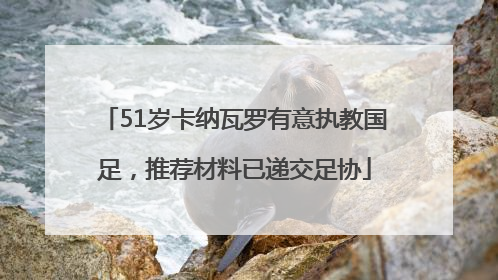 51岁卡纳瓦罗有意执教国足，推荐材料已递交足协