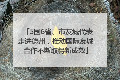 5国6省、市友城代表走进德州，推动国际友城合作不断取得新成效