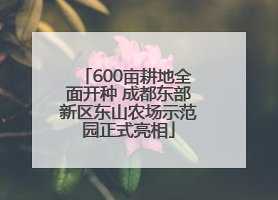 600亩耕地全面开种 成都东部新区东山农场示范园正式亮相