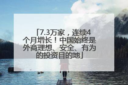 7.3万家，连续4个月增长！中国始终是外商理想、安全、有为的投资目的地