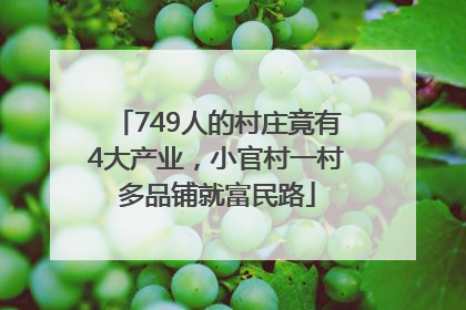 749人的村庄竟有4大产业，小官村一村多品铺就富民路