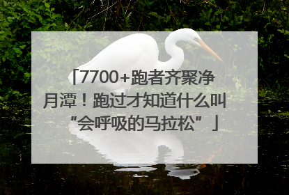 7700+跑者齐聚净月潭！跑过才知道什么叫“会呼吸的马拉松”