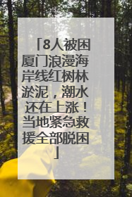 8人被困厦门浪漫海岸线红树林淤泥，潮水还在上涨！当地紧急救援全部脱困
