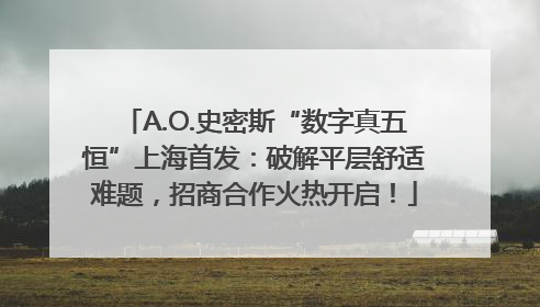 A.O.史密斯“数字真五恒”上海首发：破解平层舒适难题，招商合作火热开启！