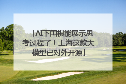 AI下围棋能展示思考过程了！上海这款大模型已对外开源