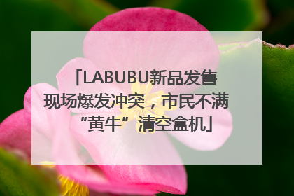 LABUBU新品发售现场爆发冲突，市民不满“黄牛”清空盒机
